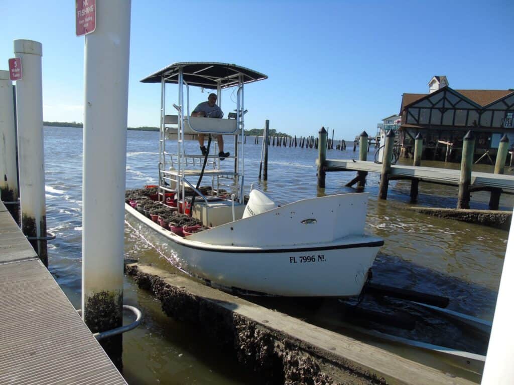 Cedar Key Boat Trip – Mobile Geriatrics