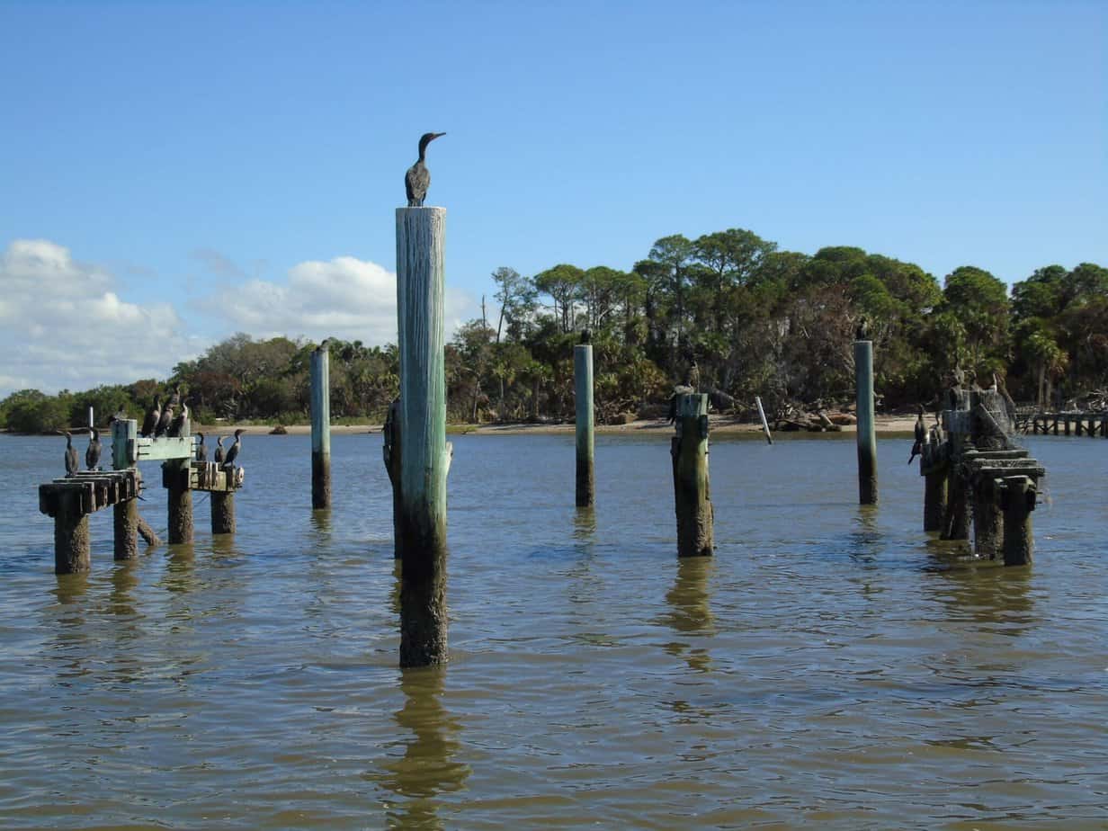 Cedar Key Boat Trip – Mobile Geriatrics